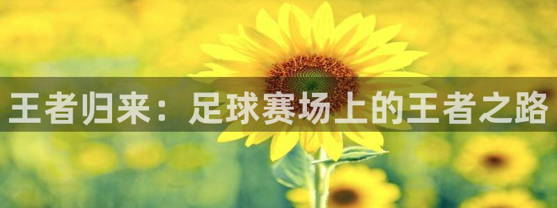王者归来：足球赛场上的王者之路