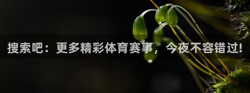 搜索吧：更多精彩体育赛事，今夜不容错过!
