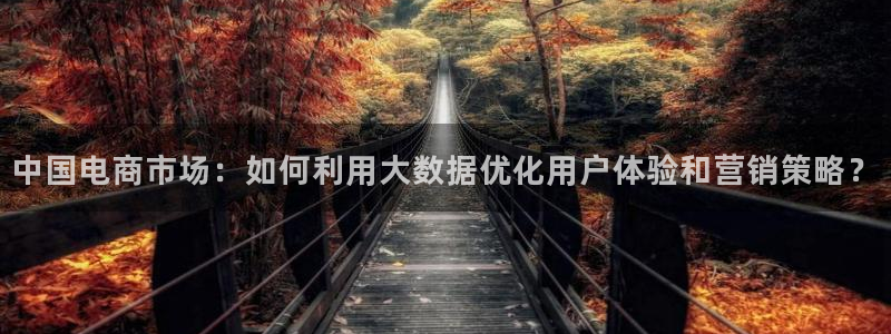 中国电商市场：如何利用大数据优化用户体验和营销策略？