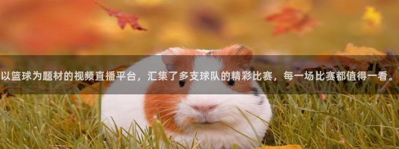 以篮球为题材的视频直播平台，汇集了多支球队的精彩比赛，每一场比赛都值得一看。